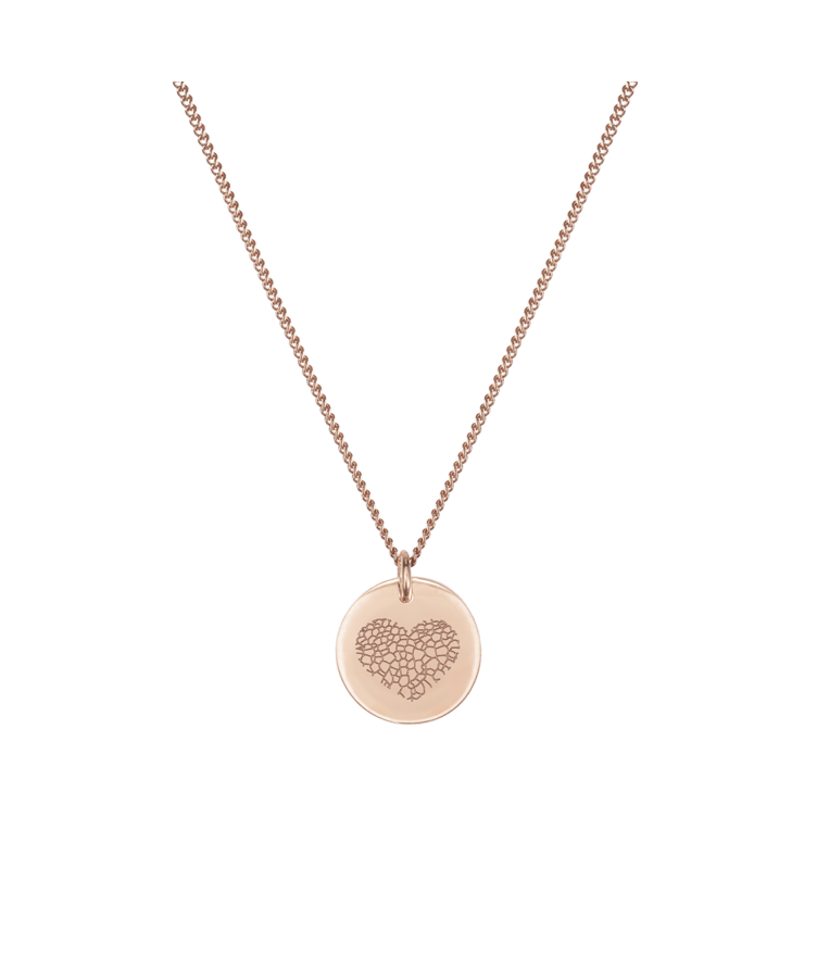 Nose Print Coin Ketting